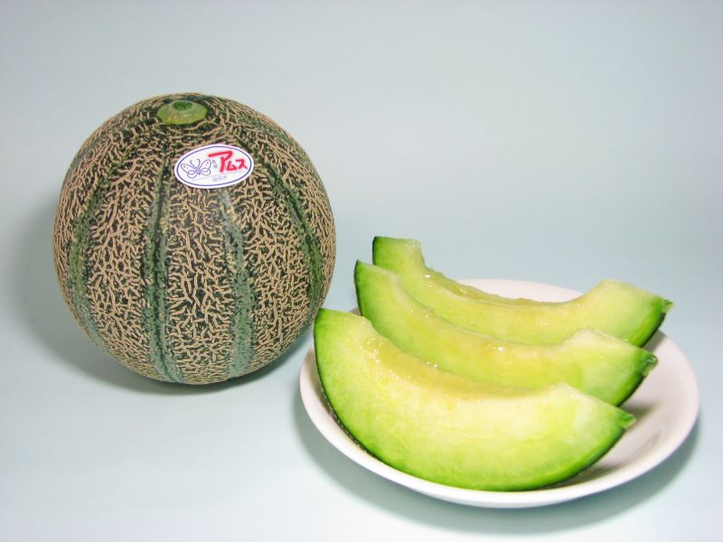 Masuda Amusmelon