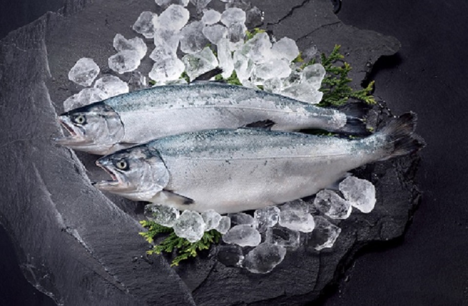 みやぎサーモン