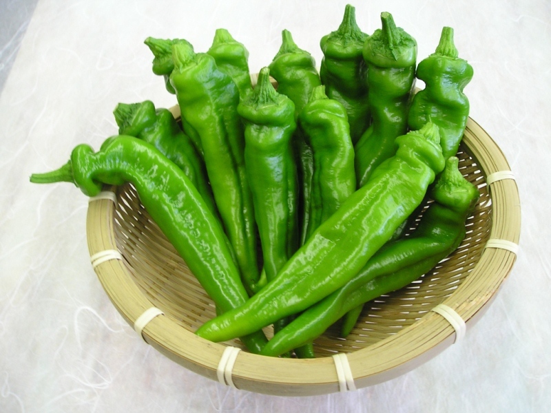 Manganji Green Pepper photo