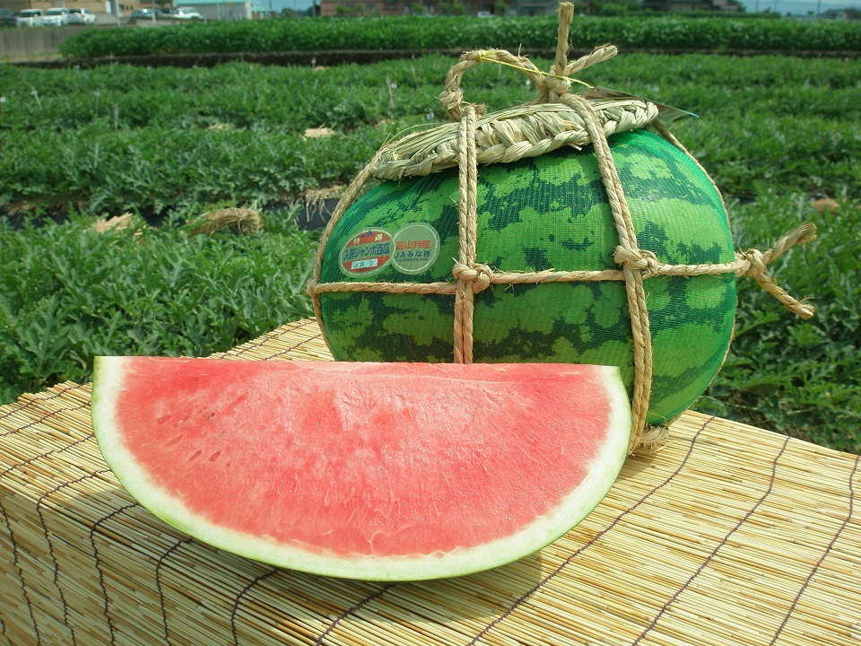 入善ジャンボ西瓜