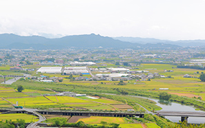 Kochi