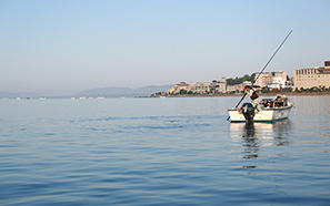 Shimane