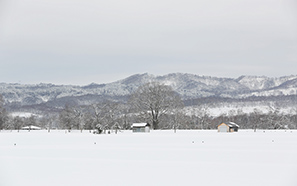 Hokkaido
