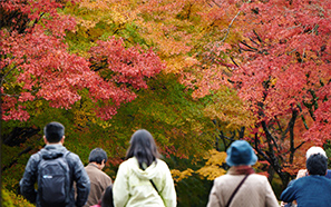 Kyoto