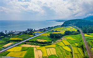 Shiga