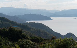 Wakayama