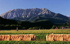 Tottori