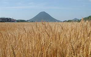 Kagawa
