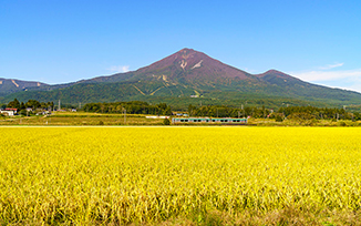 Fukushima