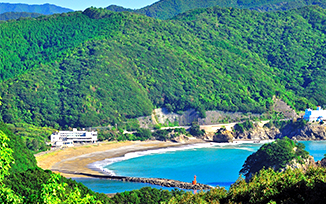 Tokushima