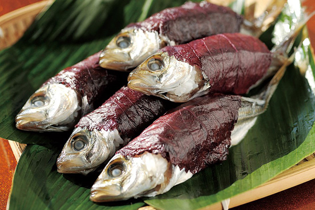 Aji no maruzushi