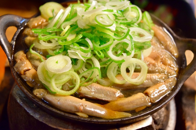 Yanagawa nabe/Dojo jiru