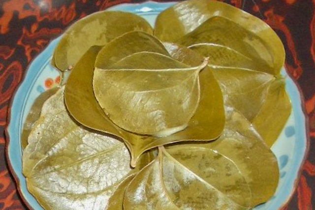 Ibara Mochi