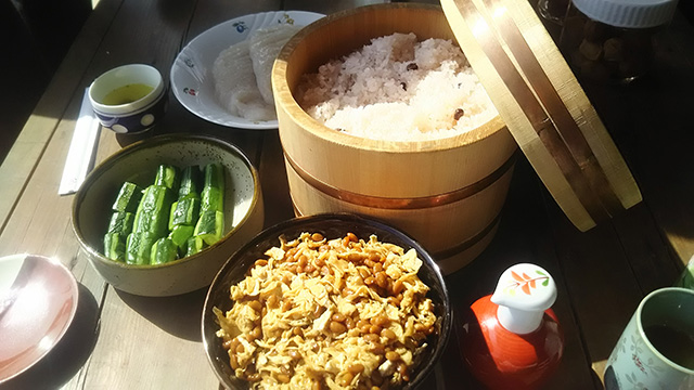 Soboro Natto/Shoboro Natto (Natto mixed with Dried strips of Daikon radish) 