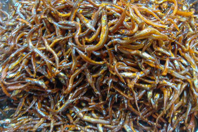 Kounago no Kugini