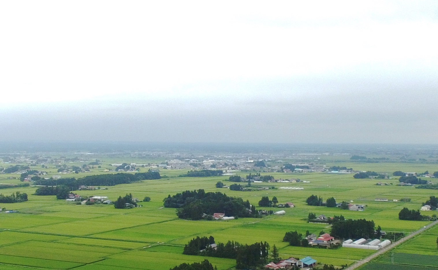 Landscape of Osaki Kodo embraced with rice paddies, water channels and homestead woodlands