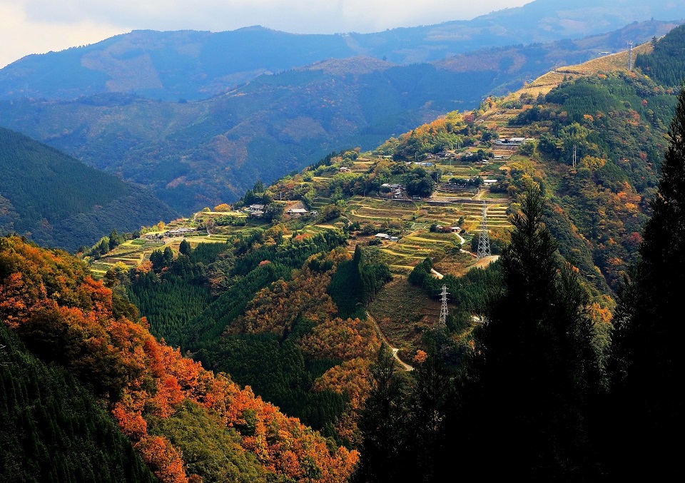 Sennin’s rice terrace (Shiiba‐village)