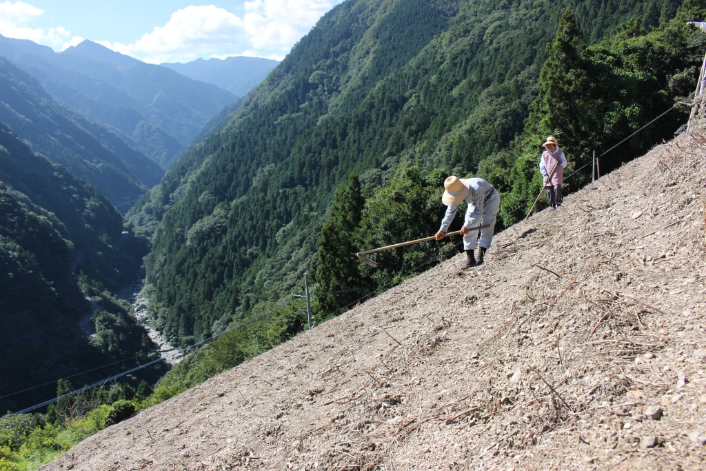 Performing “Tsuchiage”, moving the soil washed down during heavy rain back to the field with