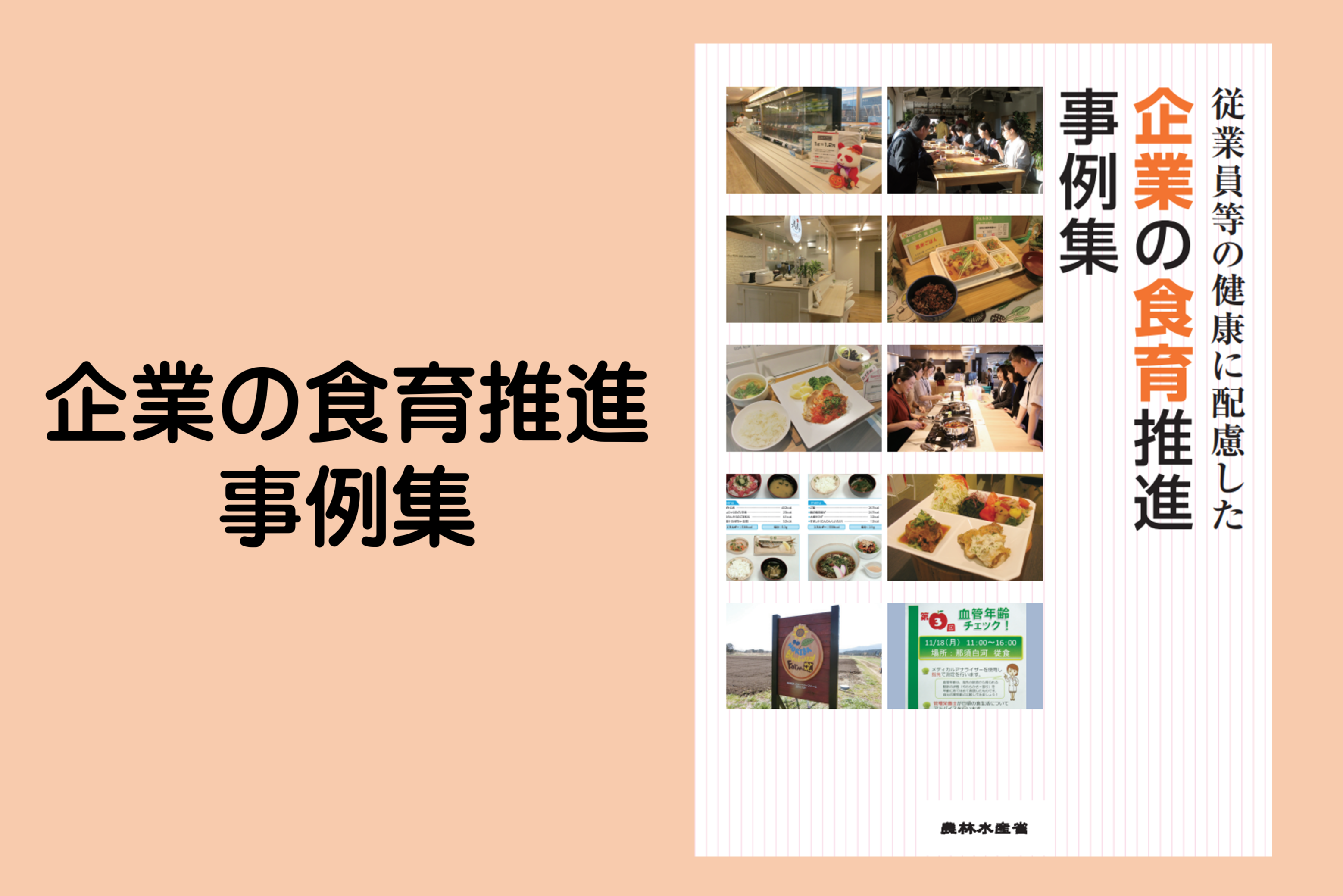 企業の食育推進事例集