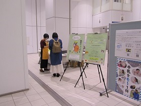 展示