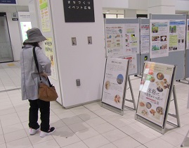 展示２