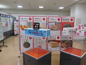 展示の様子