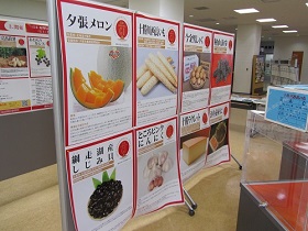展示の様子