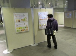 展示の様子