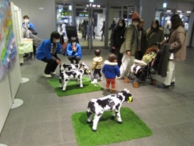 子牛