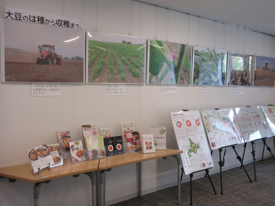 パネル展示