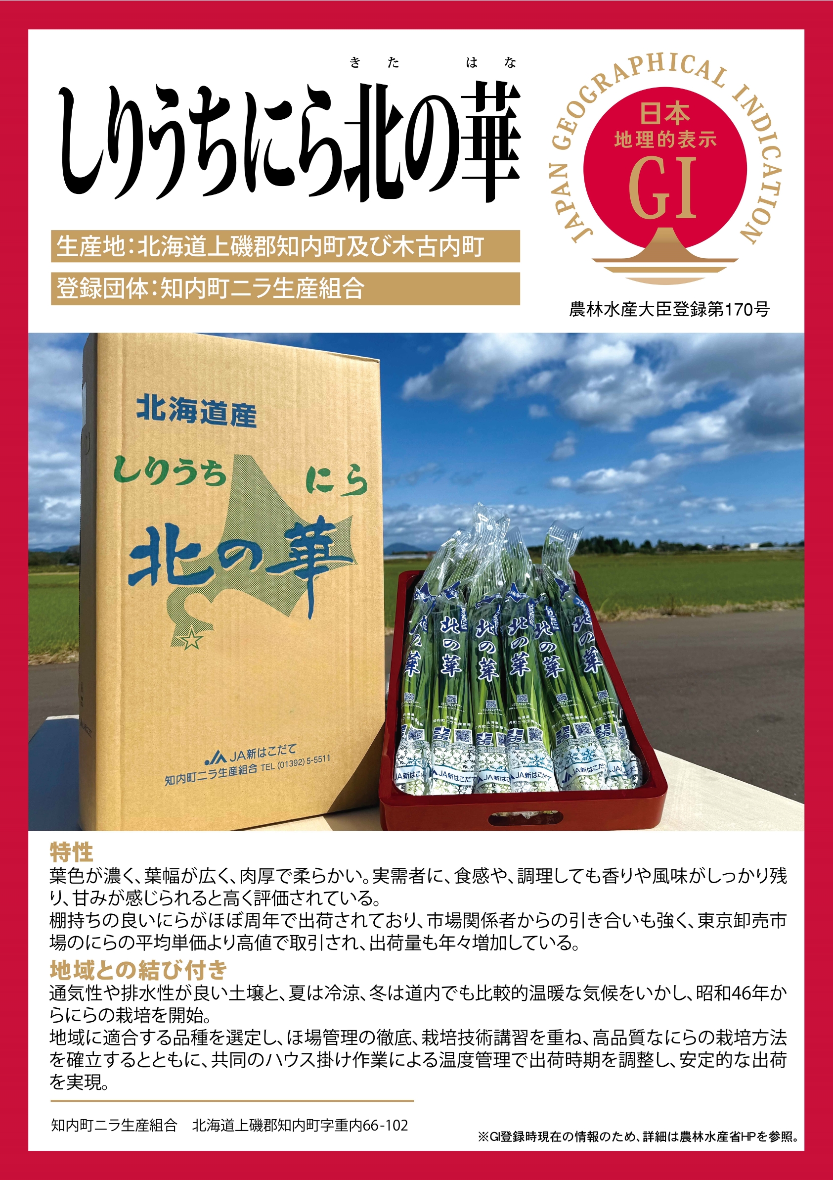 北海道の登録産品「しりうちにら北の華」