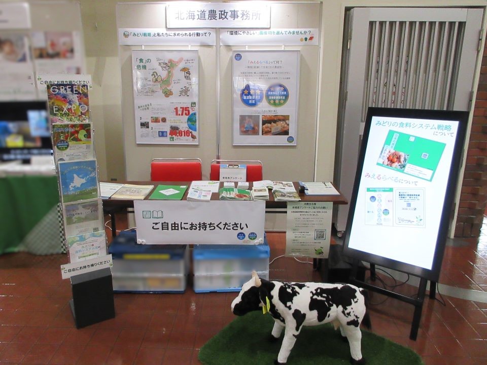 展示の様子