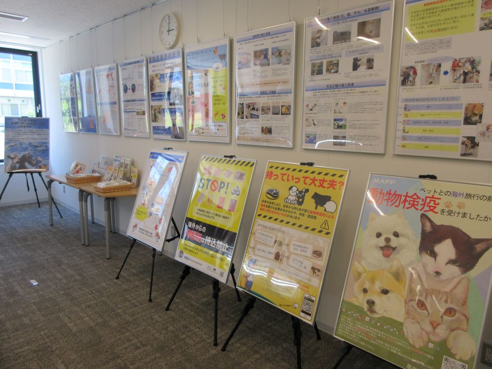 動物検疫に関する展示.jpg