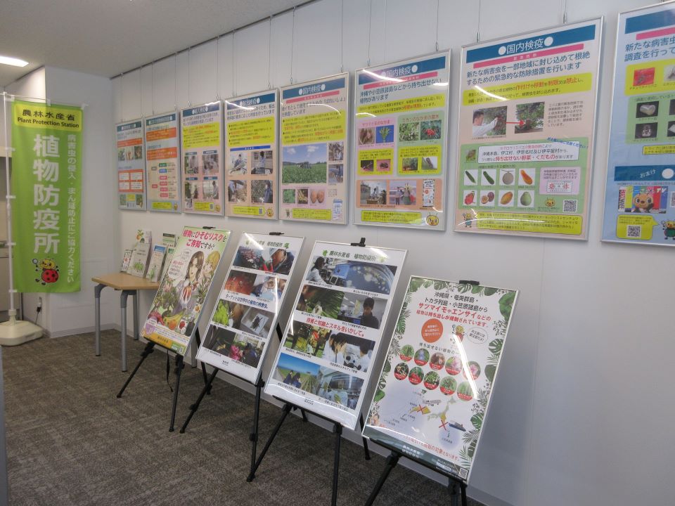 植物検疫に関する展示.jpg