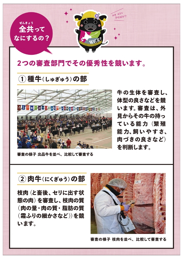 全共ってなにするの?