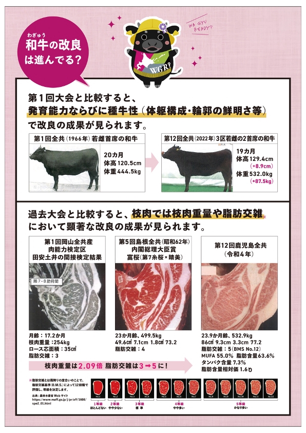 和牛の改良は進んでる?