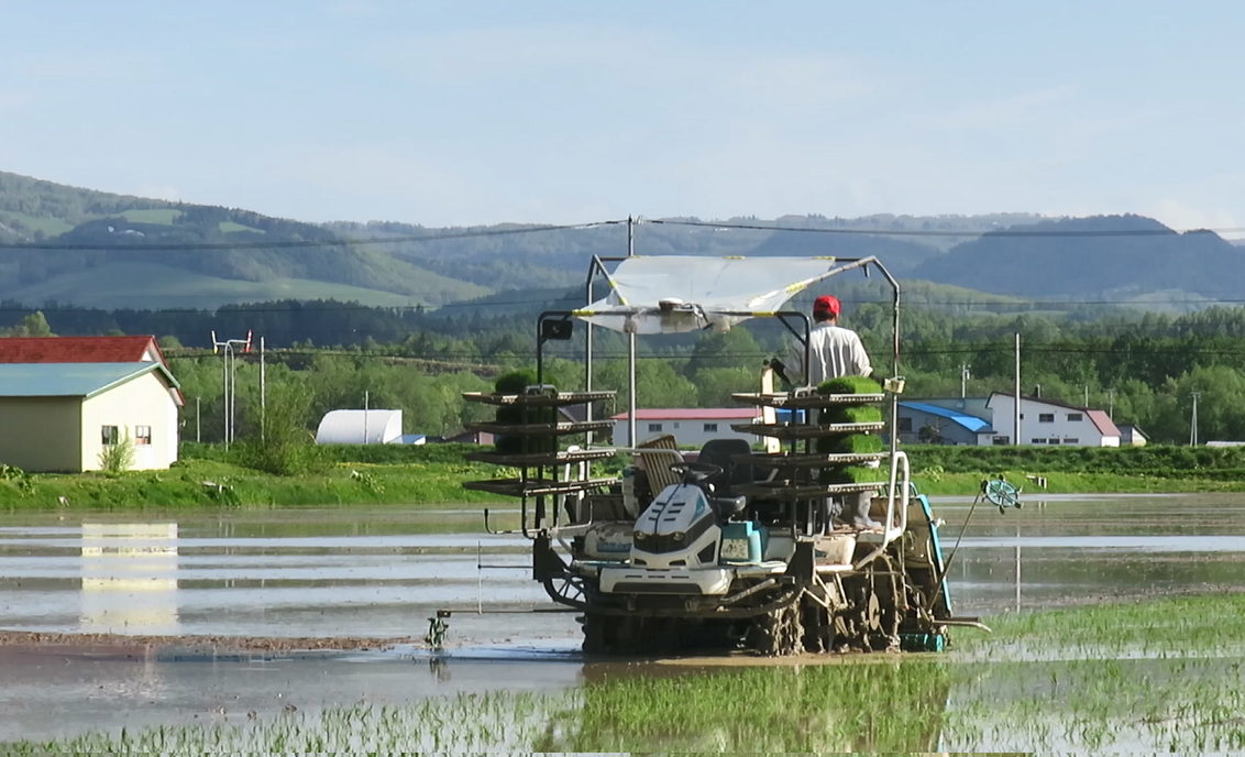 直進アシスト田植機の作業