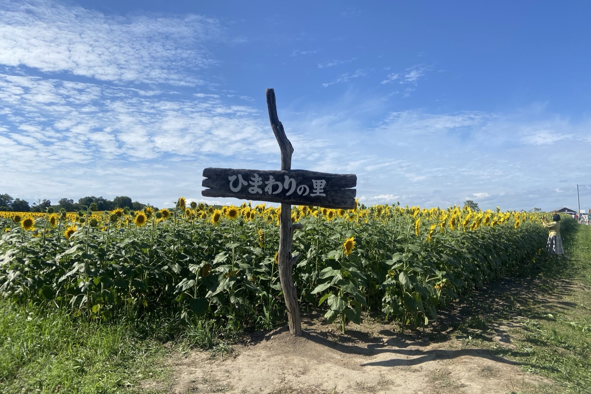 ひまわりの里の看板