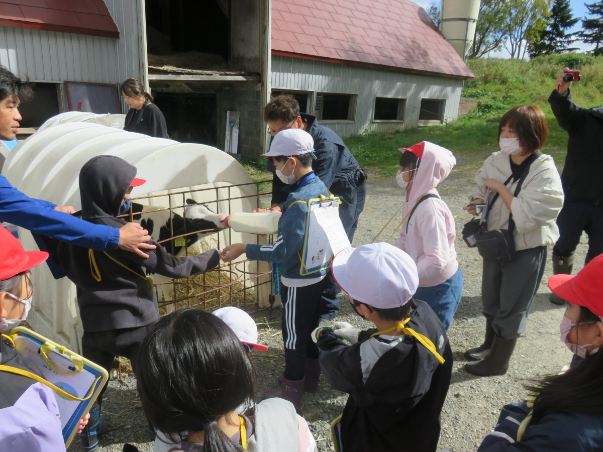 子牛絵の授乳体験