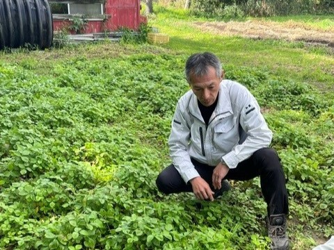 ほ場で説明する加藤常務