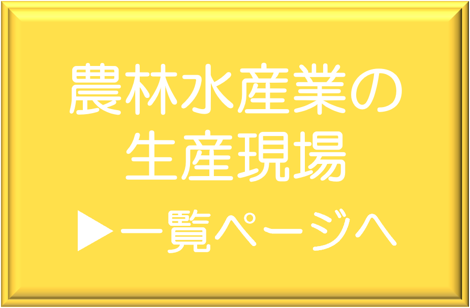 農林水産業の生産現場フォトレポート一覧ページへ