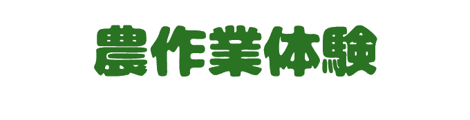 農作業体験