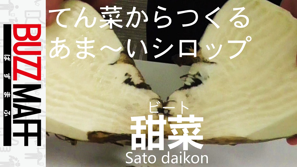 砂糖の原料（てん菜）からシロップ作ってみた