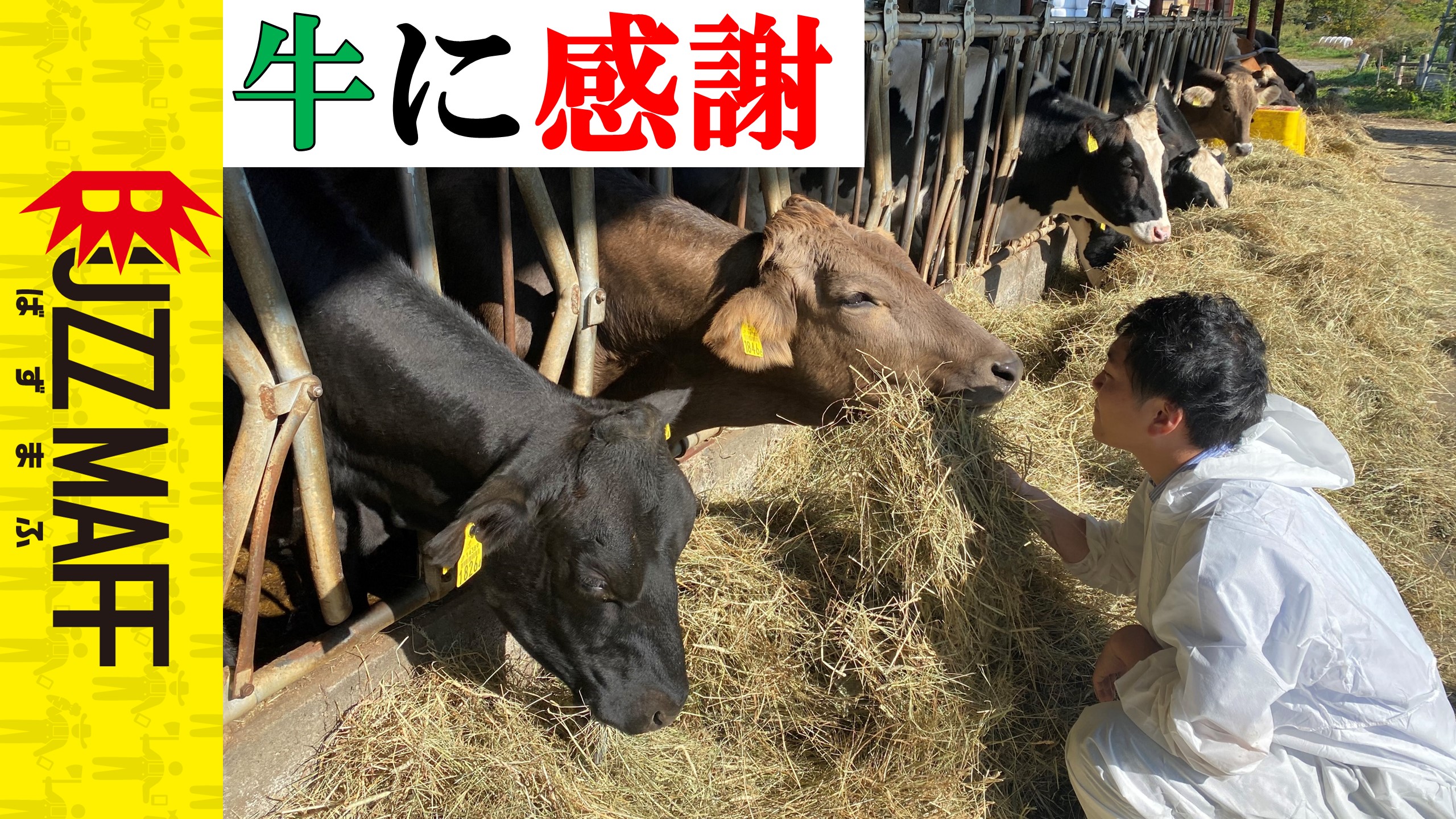 牧場物語2