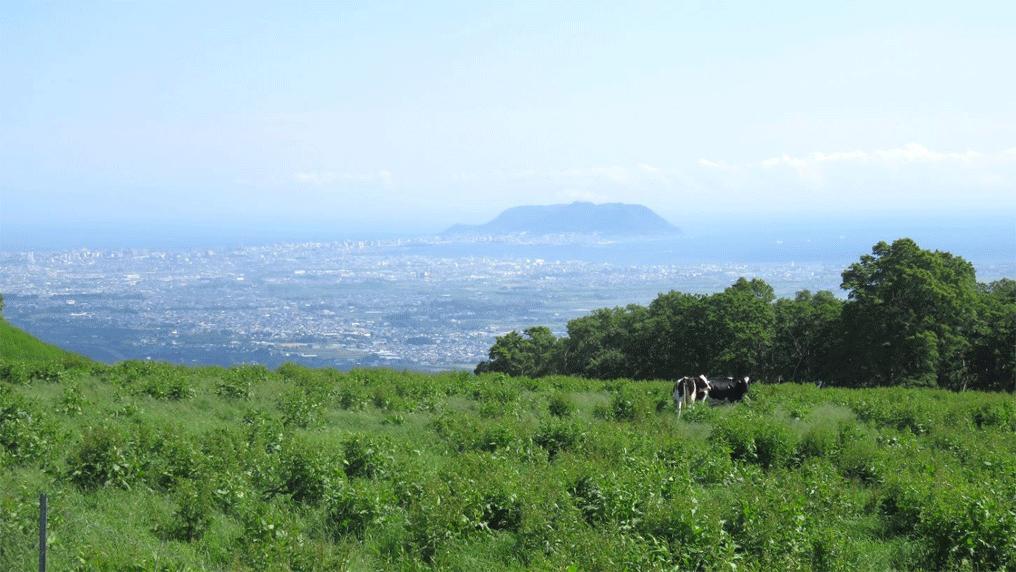 城岱（しろたい）牧場