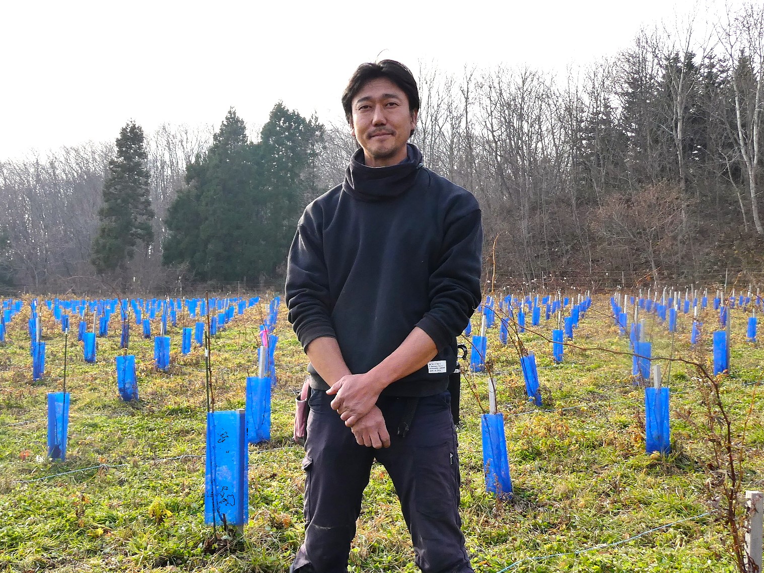 ぶどう畑に立つ行天友紀さん