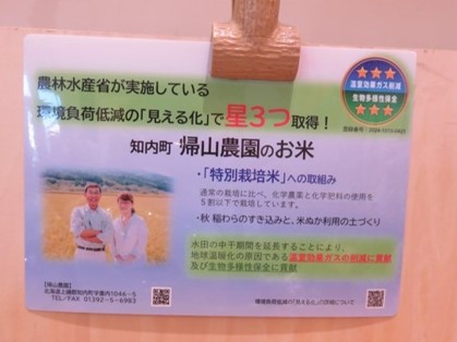 ポップ