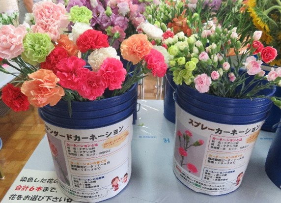 色鮮やかなお花たち