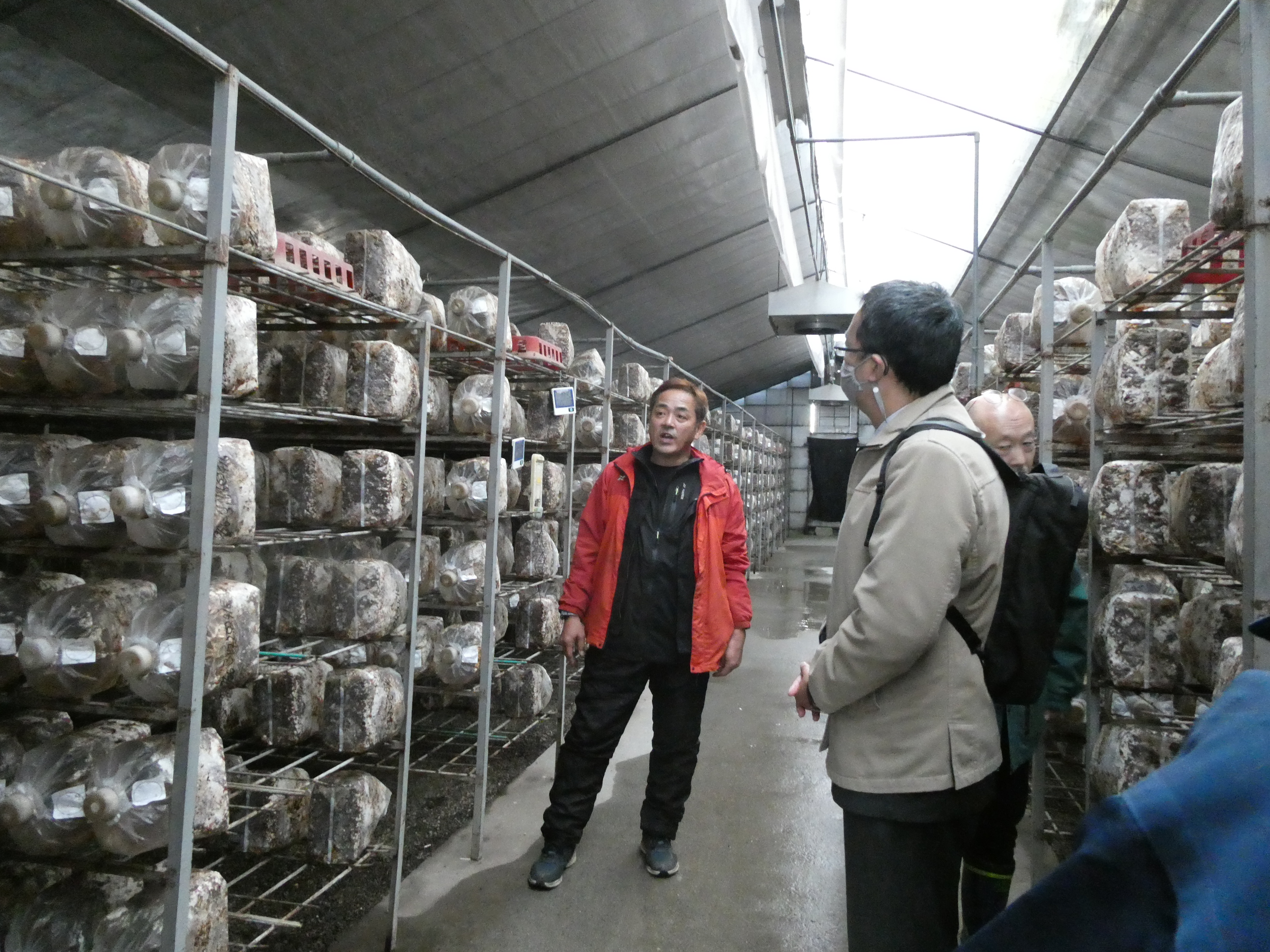 視察先((有)福田農園)で説明を受ける様子