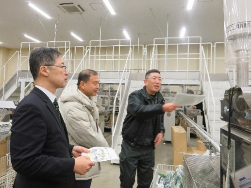 ニラ施設